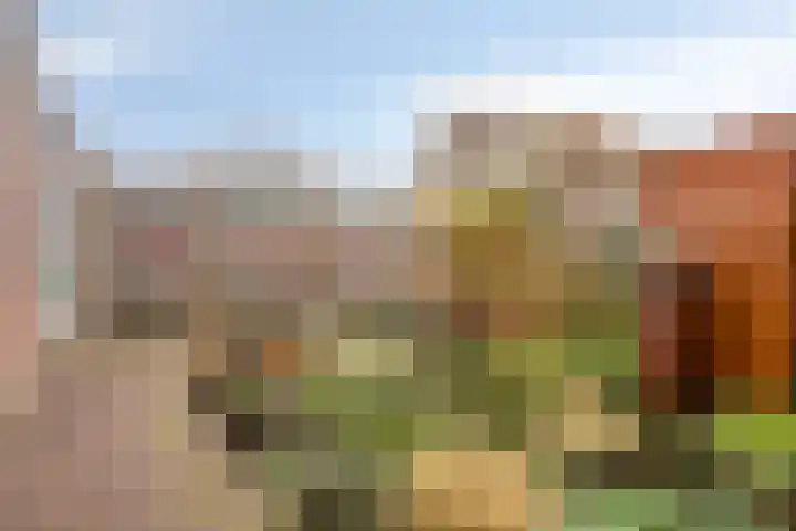Rentmeestersstraat 37 Gemert thumbnail 5