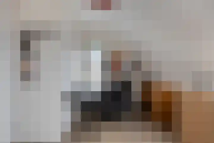 Rentmeestersstraat 37 Gemert thumbnail 50