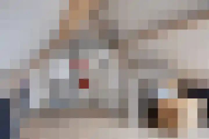 Rentmeestersstraat 37 Gemert thumbnail 54