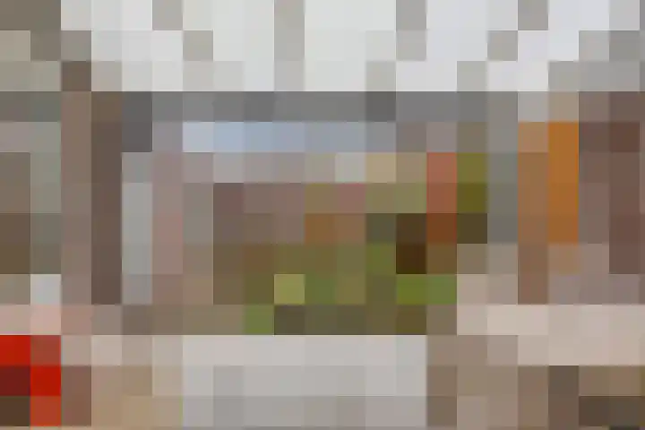 Rentmeestersstraat 37 Gemert thumbnail 55