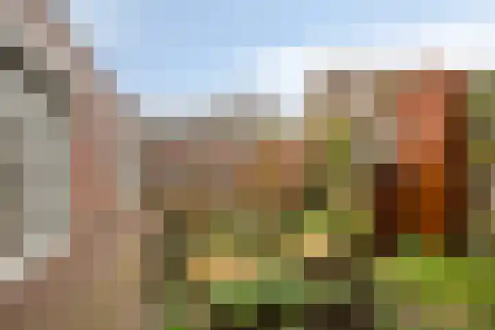 Rentmeestersstraat 37 Gemert thumbnail 56