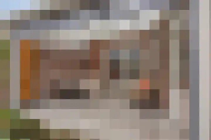 Rentmeestersstraat 37 Gemert thumbnail 58
