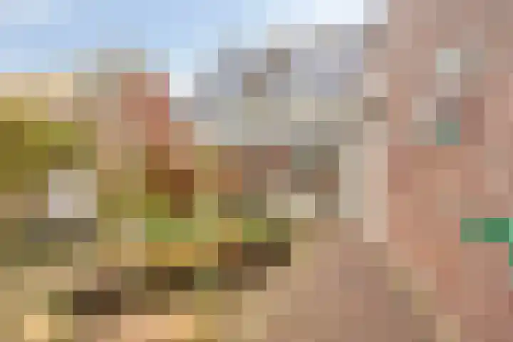 Rentmeestersstraat 37 Gemert thumbnail 59