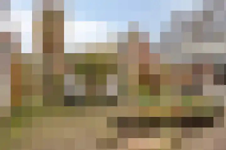 Rentmeestersstraat 37 Gemert thumbnail 60