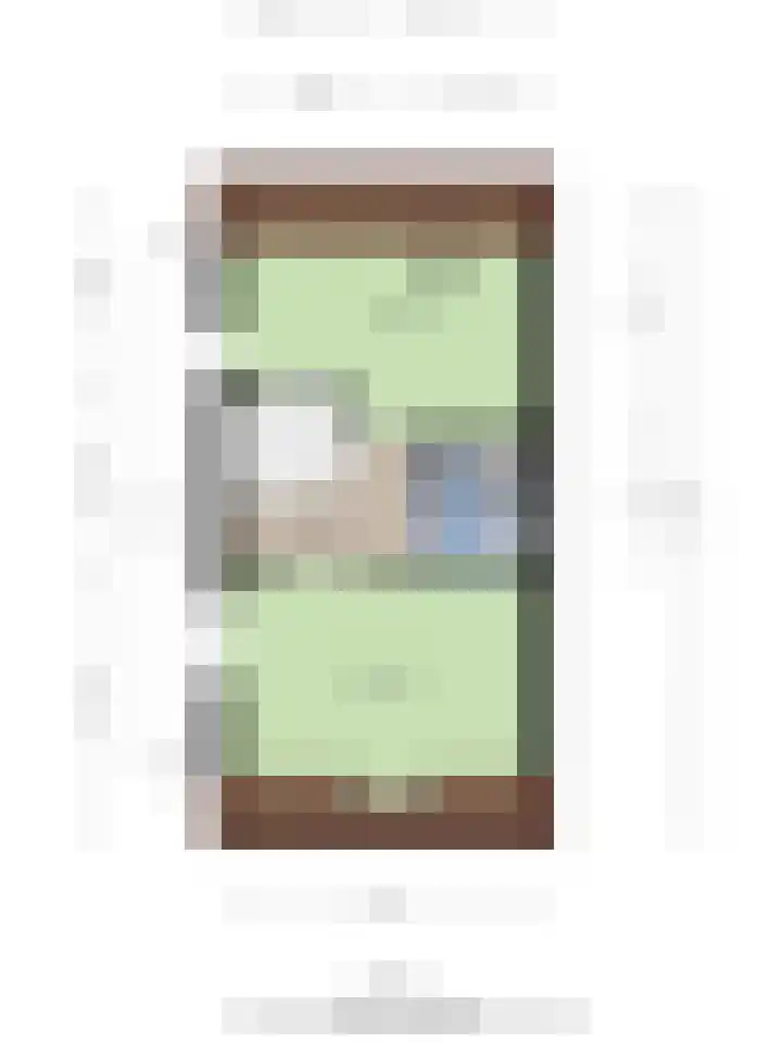 Rentmeestersstraat 37 Gemert thumbnail 65
