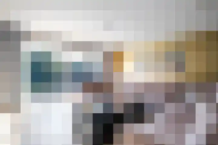 Rentmeesterstuin 26 Zevenhuizen thumbnail 12
