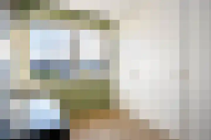 Rentmeesterstuin 26 Zevenhuizen thumbnail 17