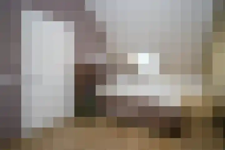 Rentmeesterstuin 26 Zevenhuizen thumbnail 22