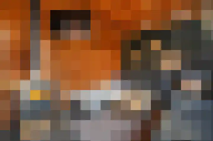 Rentmeesterstuin 26 Zevenhuizen thumbnail 27