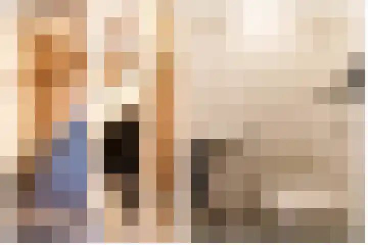Rentmeesterstuin 26 Zevenhuizen thumbnail 5