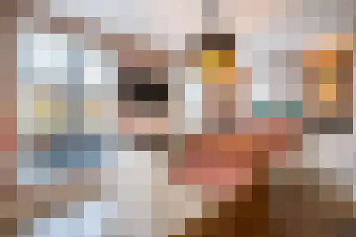 Rentmeesterstuin 26 Zevenhuizen thumbnail 6
