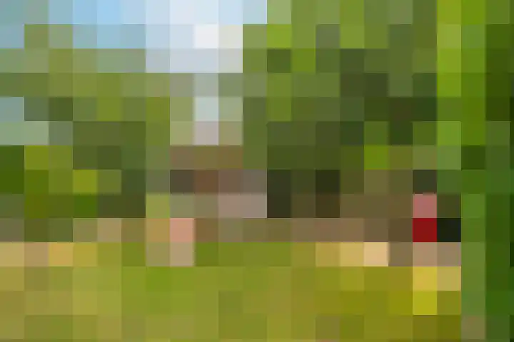 Rentmeesterwaard 104 Arnhem thumbnail 23