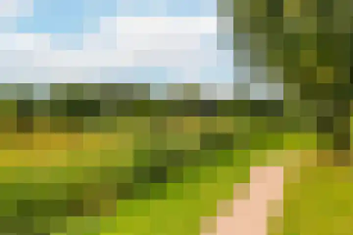 Rentmeesterwaard 104 Arnhem thumbnail 30