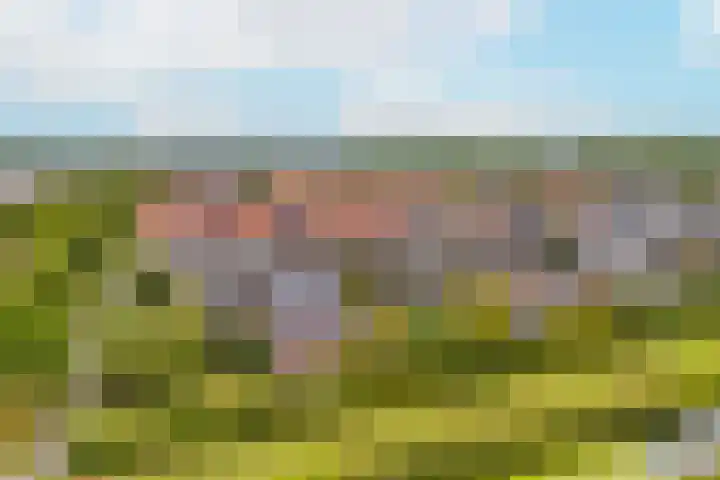 Rentmeesterwaard 104 Arnhem thumbnail 31