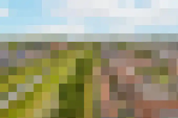 Rentmeesterwaard 104 Arnhem thumbnail 32