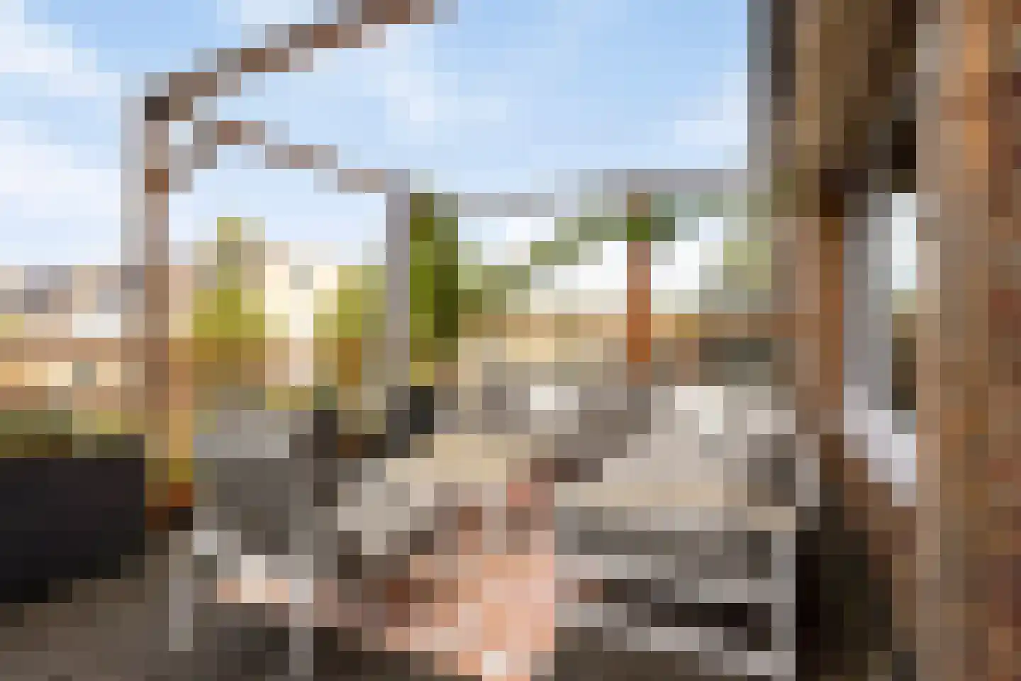Renzo Pianolijn 19 Zoetermeer thumbnail 15