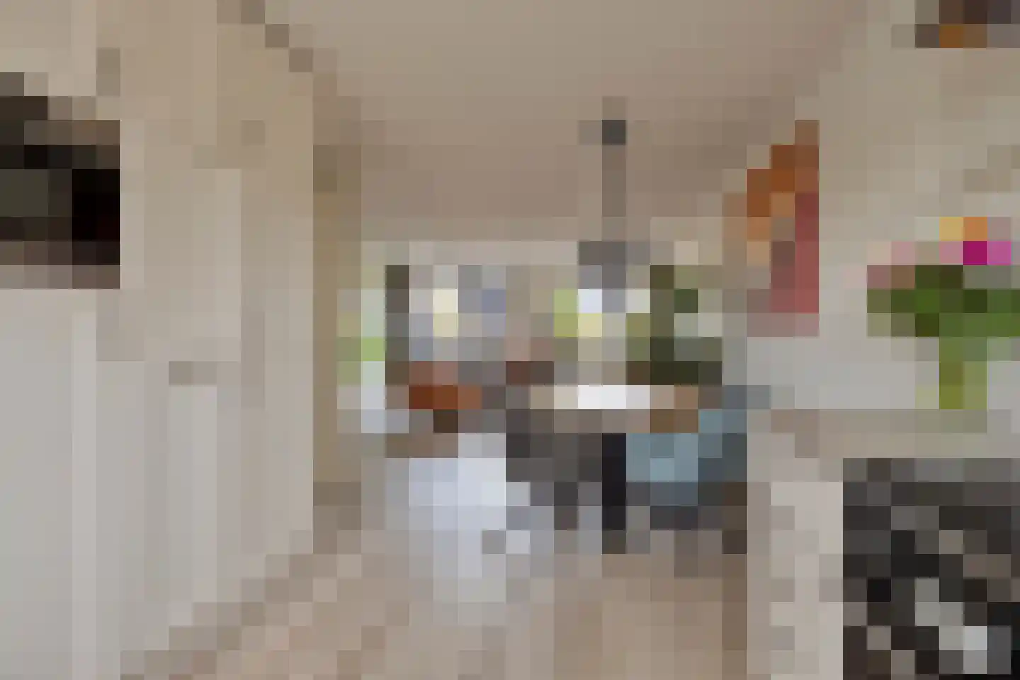 Renzo Pianolijn 19 Zoetermeer thumbnail 22