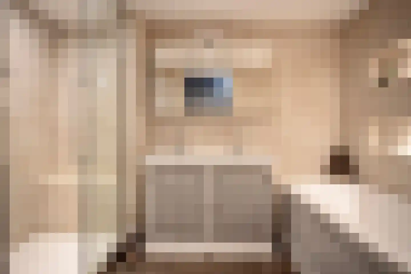 Renzo Pianolijn 19 Zoetermeer thumbnail 30