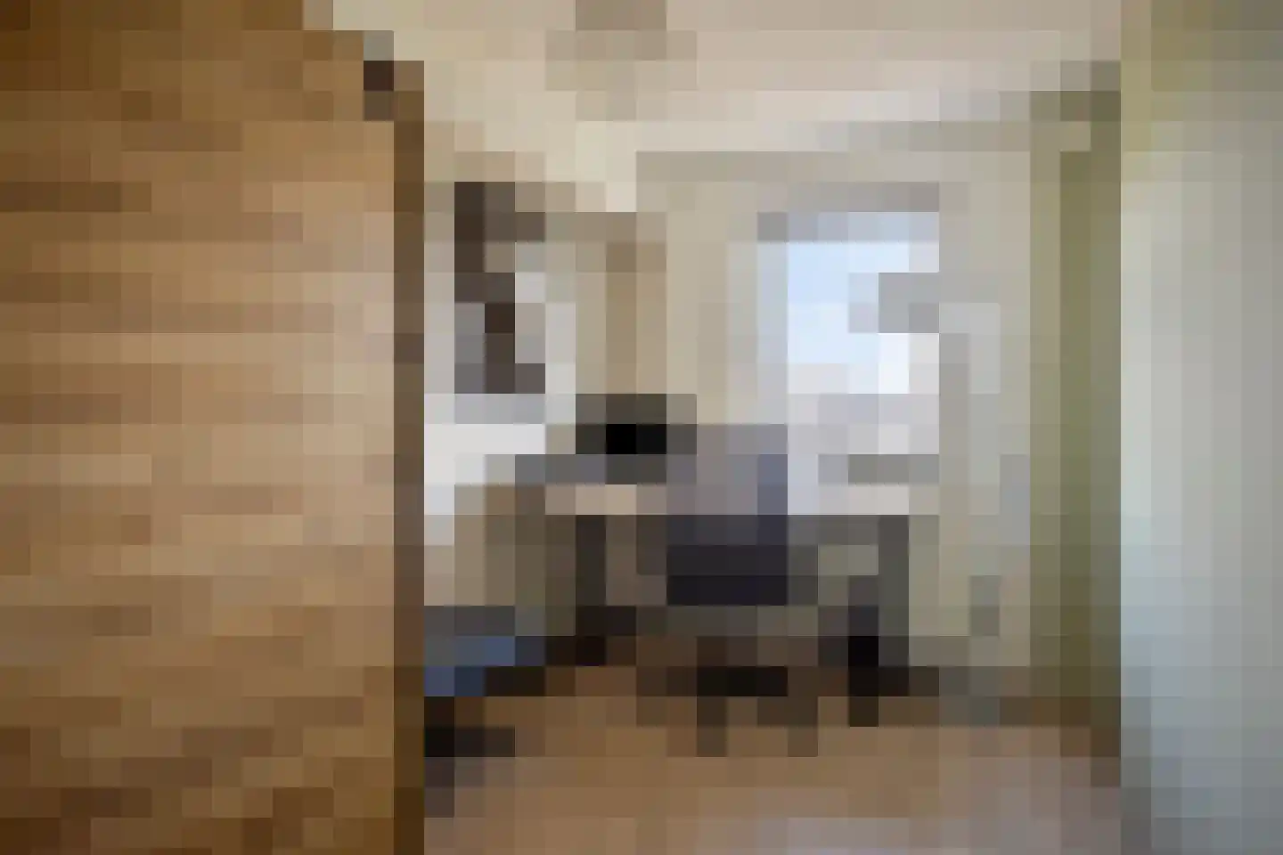 Renzo Pianolijn 19 Zoetermeer thumbnail 37