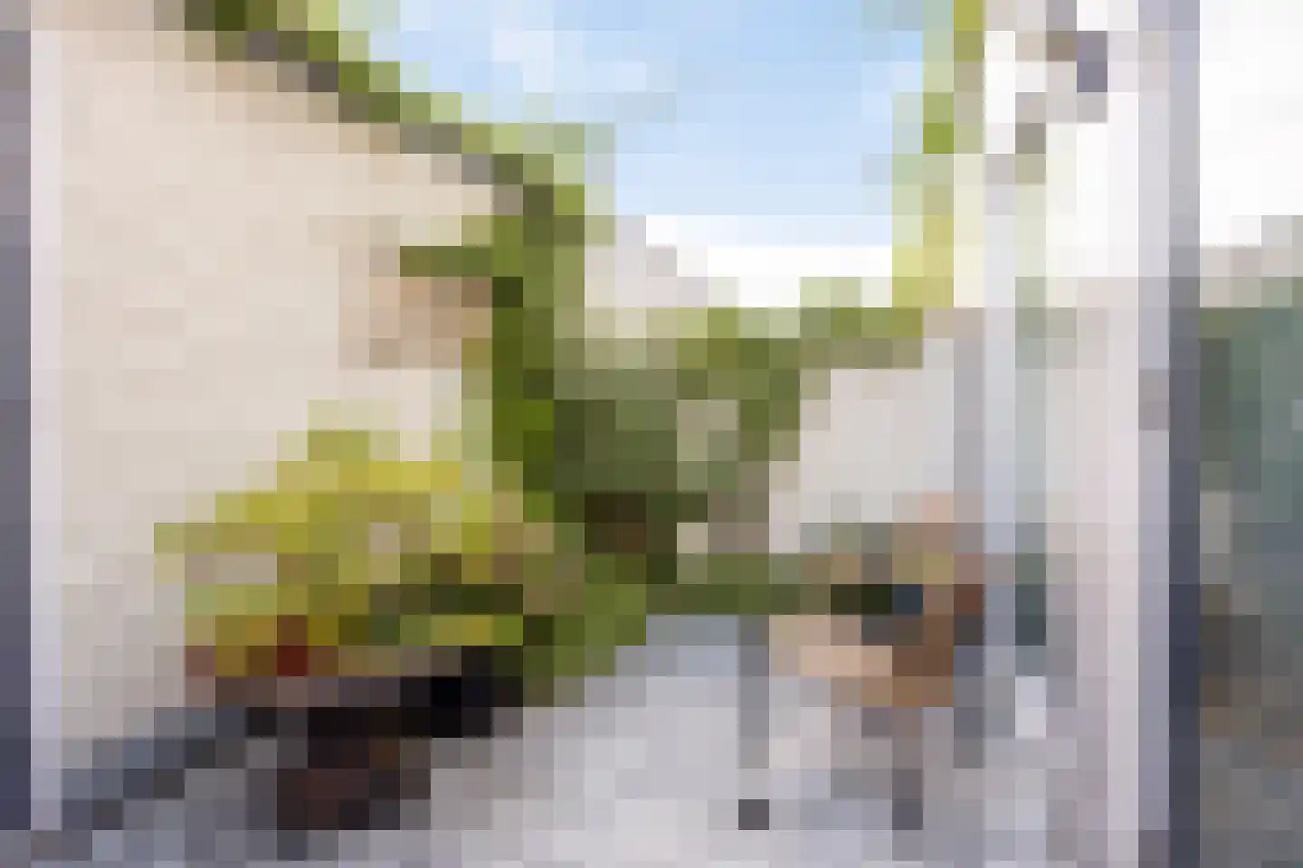 Renzo Pianolijn 19 Zoetermeer thumbnail 7