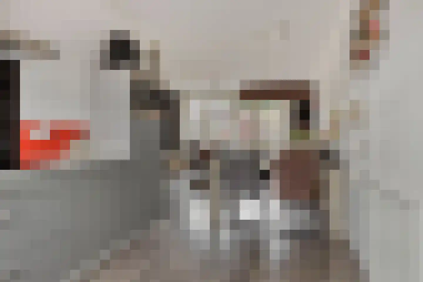 Reparatusstraat 14 Dongen thumbnail 16