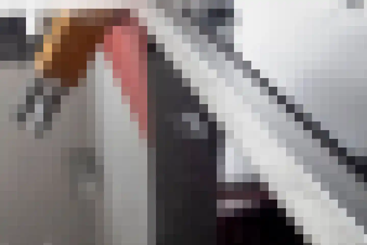 Reparatusstraat 14 Dongen thumbnail 17