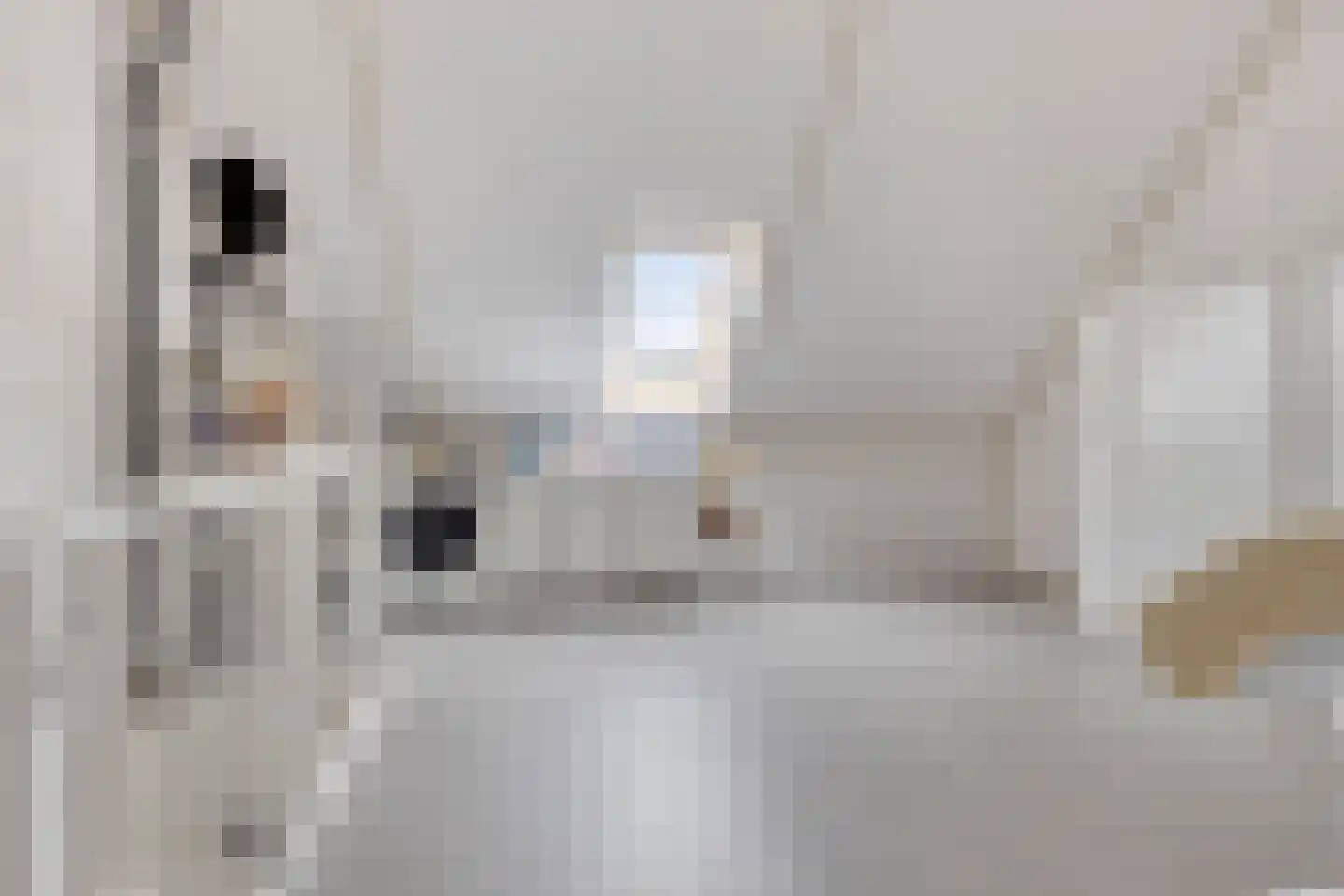 Reparatusstraat 14 Dongen thumbnail 24