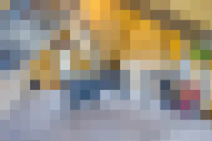 Reparatusstraat 2 Dongen thumbnail 23