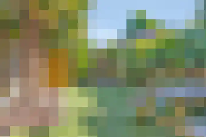Reparatusstraat 2 Dongen thumbnail 25