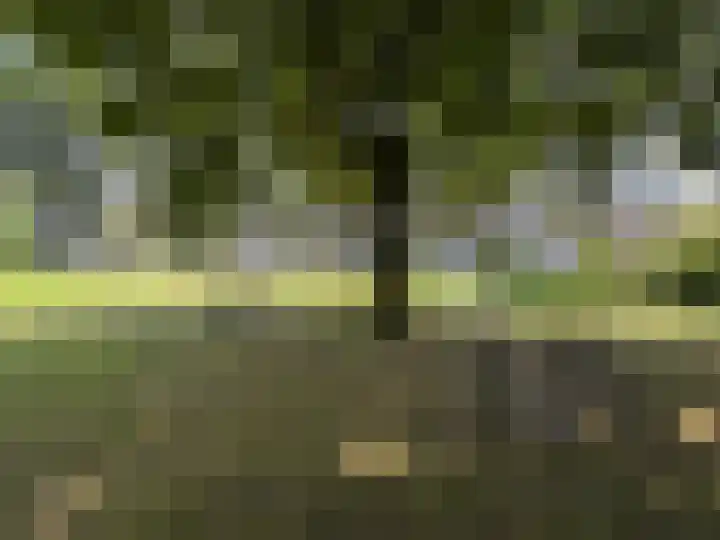 Reparatusstraat 2 Dongen thumbnail 27
