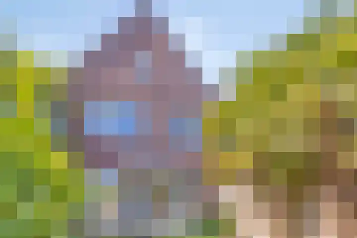 Reparatusstraat 2 Dongen thumbnail 6