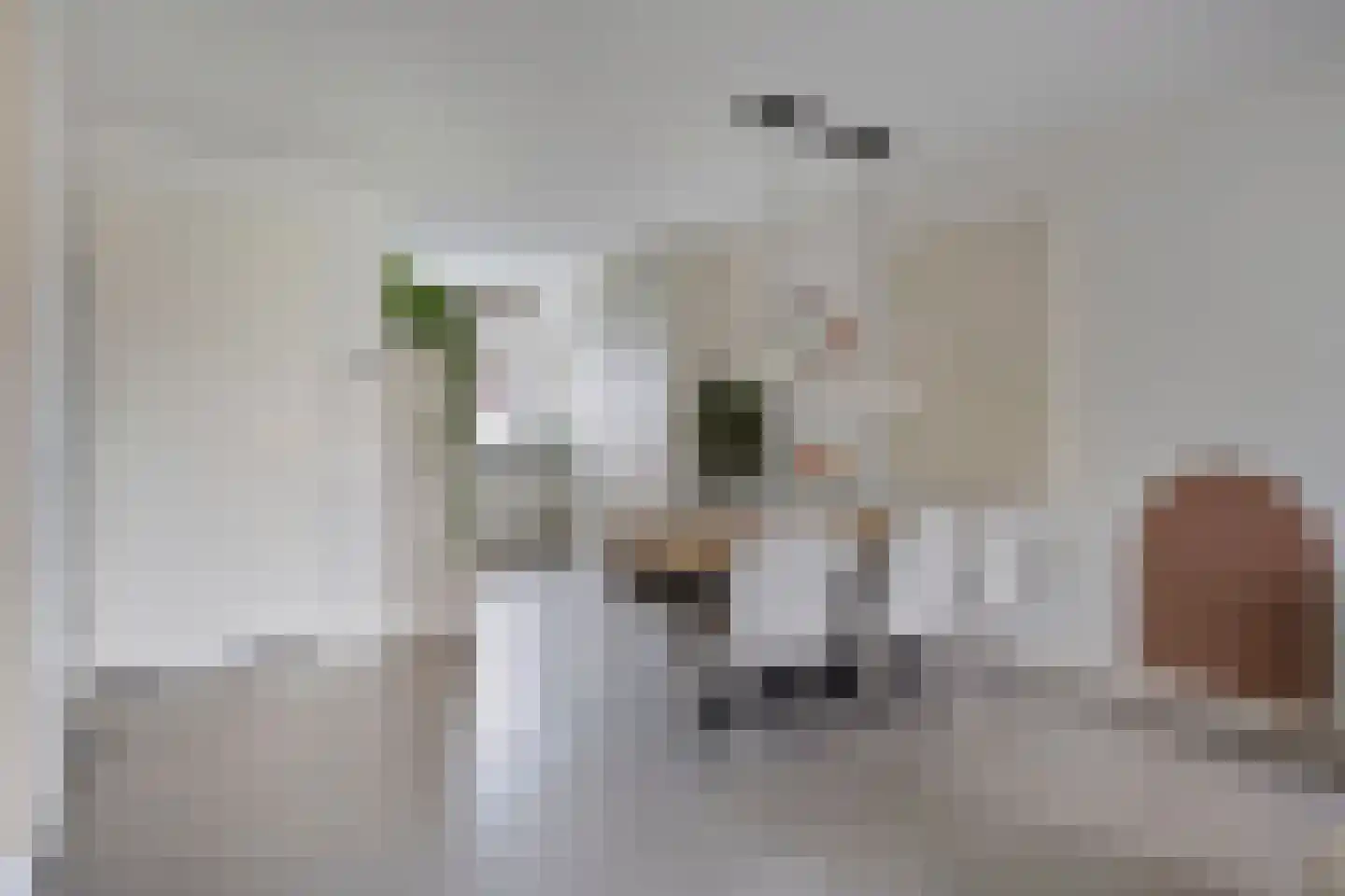 Reparatusstraat 22 Dongen thumbnail 11