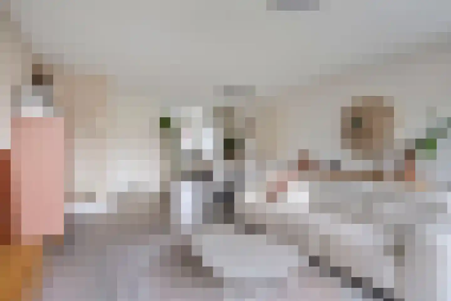 Reparatusstraat 22 Dongen thumbnail 12