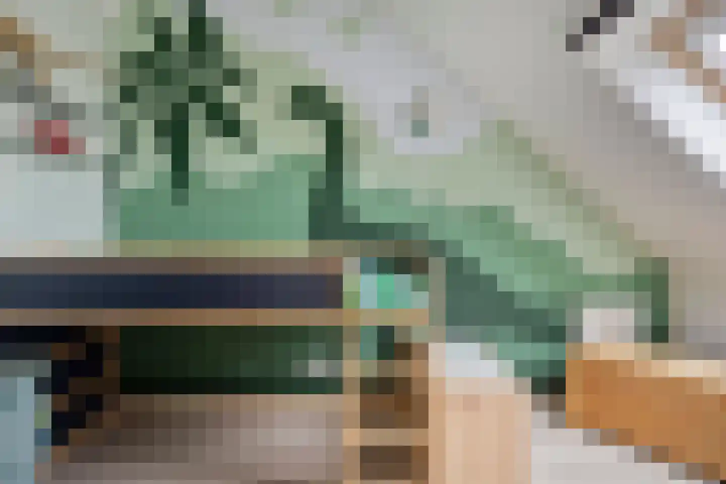 Reparatusstraat 22 Dongen thumbnail 24
