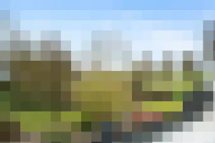 Repel 111 Hellevoetsluis thumbnail 38