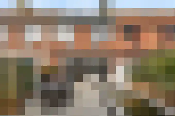 Repel 111 Hellevoetsluis thumbnail 45