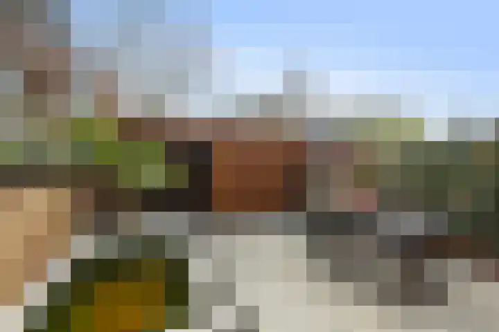 Repel 111 Hellevoetsluis thumbnail 46
