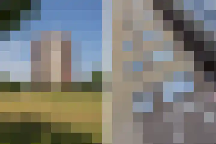 Repel 25 Veldhoven thumbnail 5