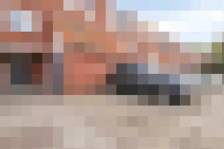 Repel 34 Hellevoetsluis thumbnail 26