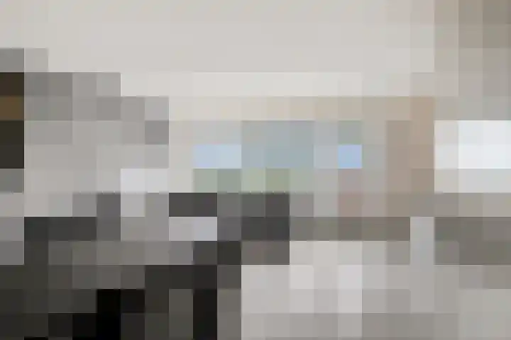 Repel 34 Hellevoetsluis thumbnail 8