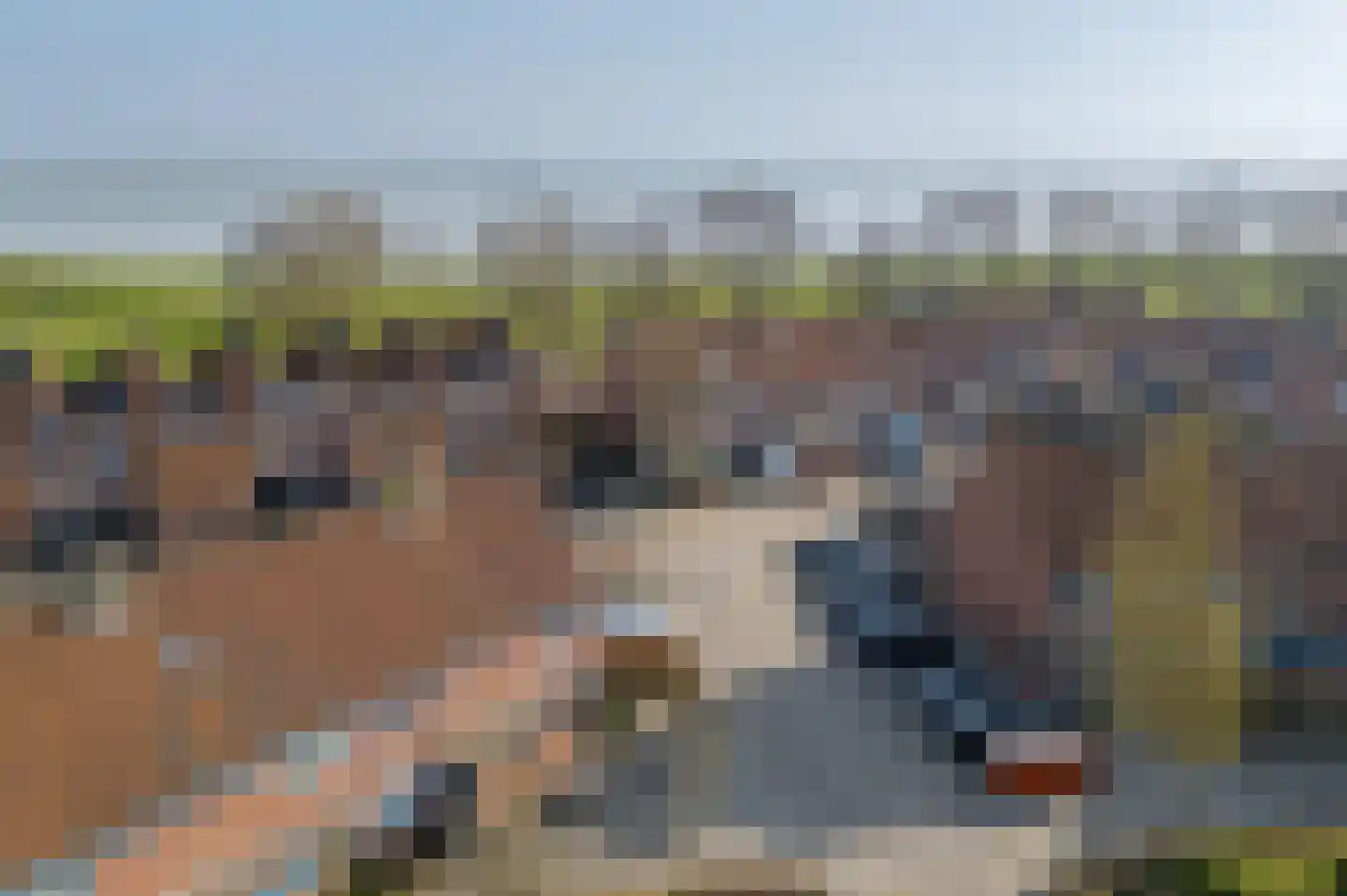 Repel 67 Hellevoetsluis thumbnail 33