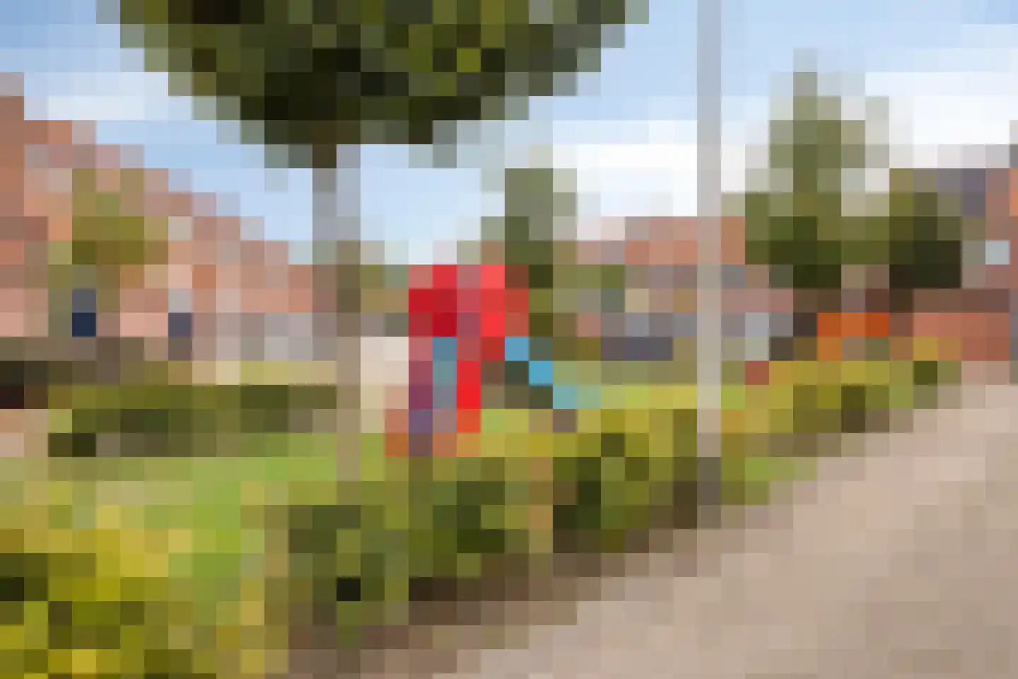 Repel 84 Hellevoetsluis thumbnail 26