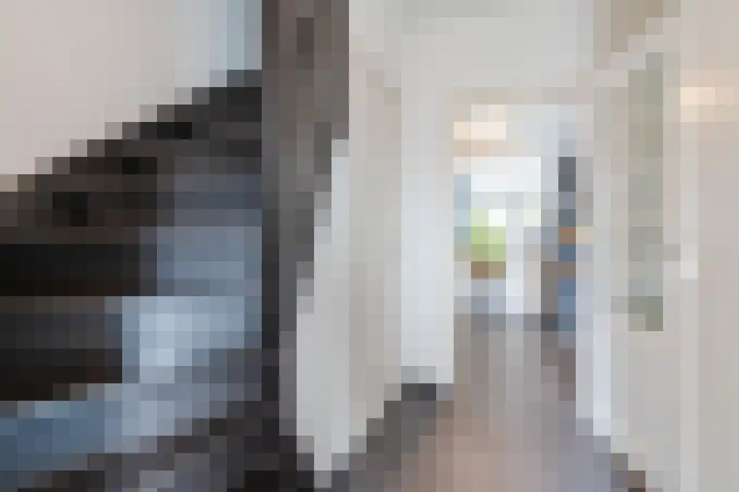 Repelaerstraat 12 Valkenswaard thumbnail 11