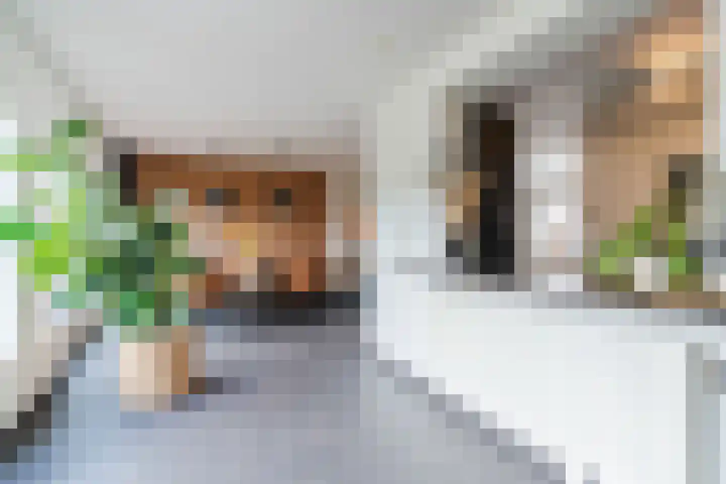 Repelaerstraat 12 Valkenswaard thumbnail 22