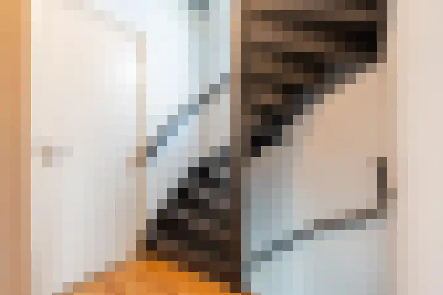 Repelaerstraat 12 Valkenswaard thumbnail 27