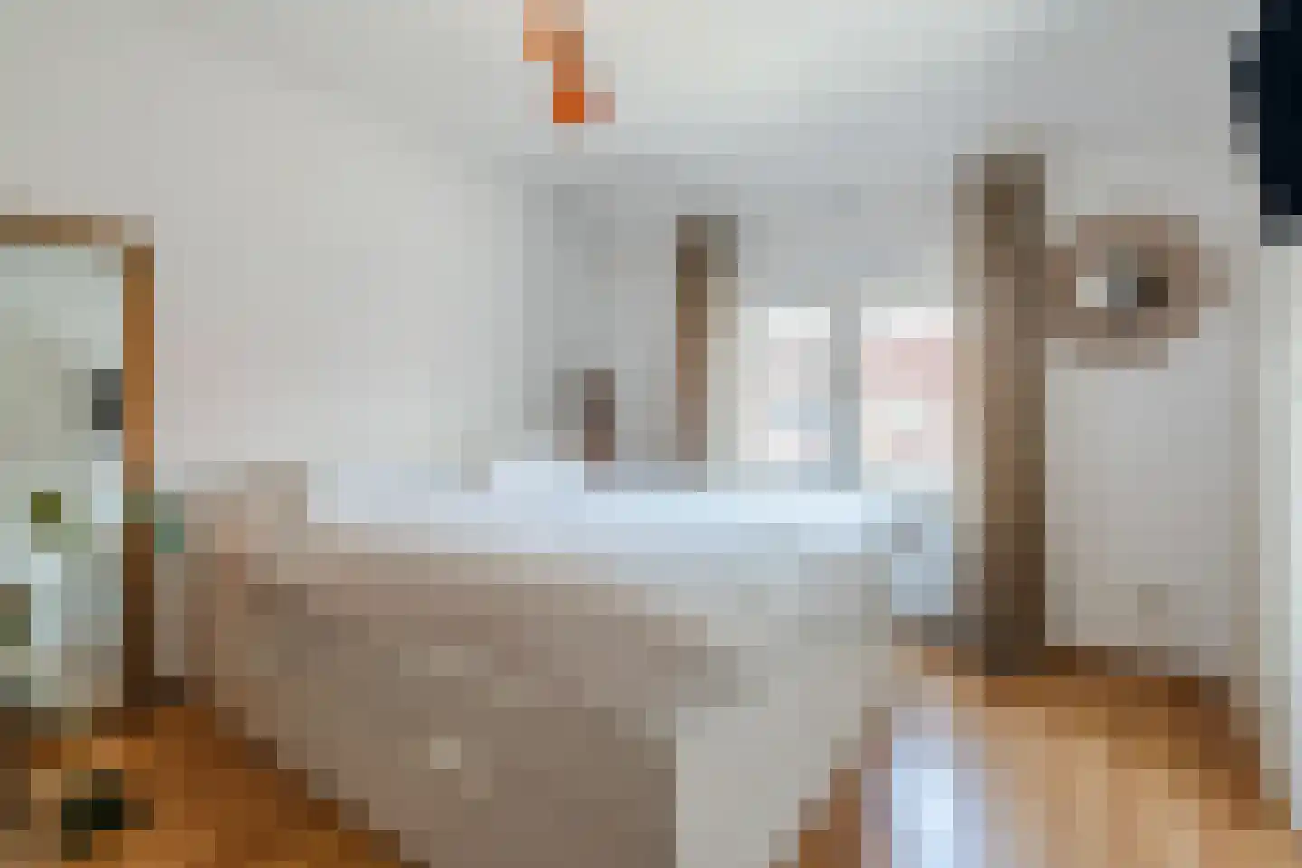 Repelaerstraat 12 Valkenswaard thumbnail 29