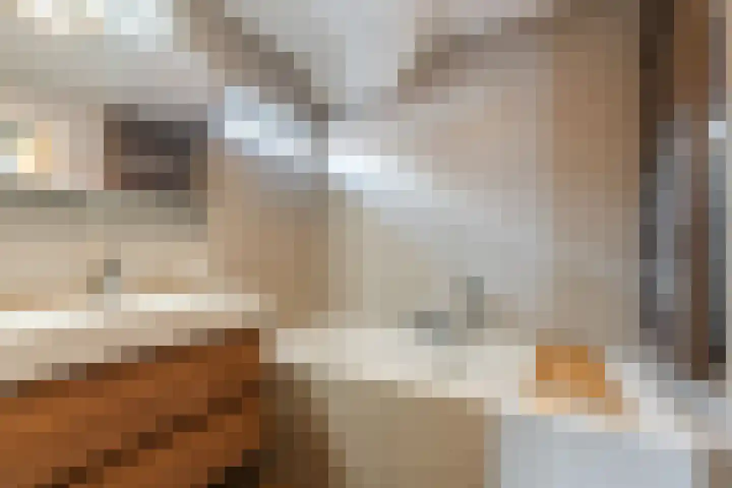 Repelaerstraat 12 Valkenswaard thumbnail 35