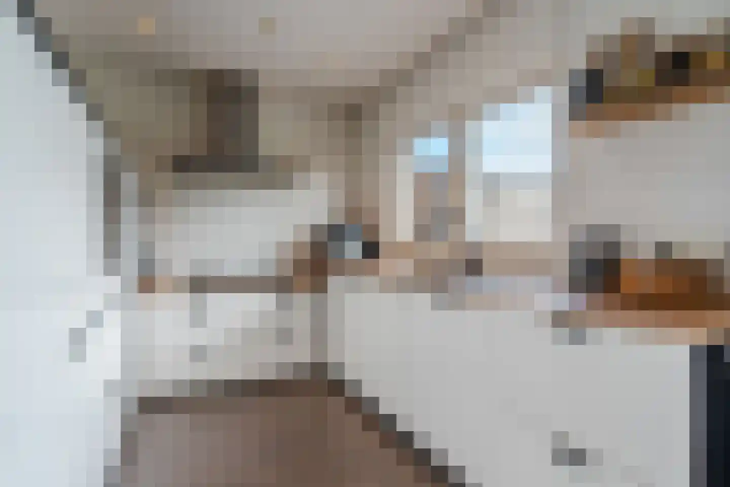 Repelaerstraat 12 Valkenswaard thumbnail 6