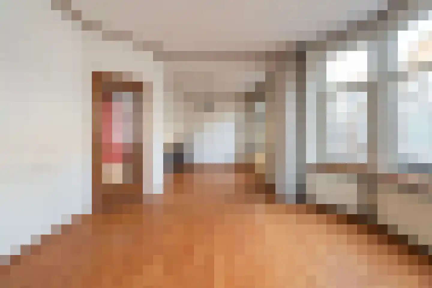 Repelaerstraat 64 Den Haag thumbnail 8