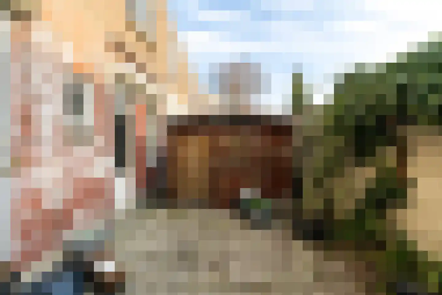 Repelaerstraat 66 Den Haag thumbnail 20